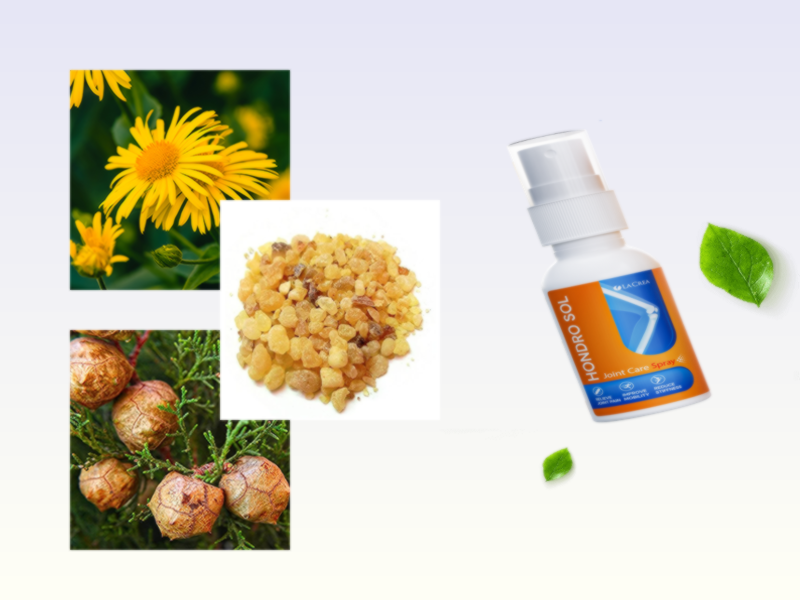 Hondro Sol spray tous les ingrédients naturels arnica ginkgo biloba capsaïcine